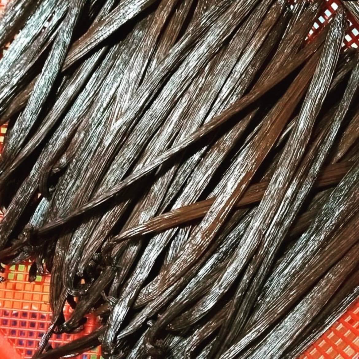 Organic Gourmet Papua New Guinea Vanilla Beans