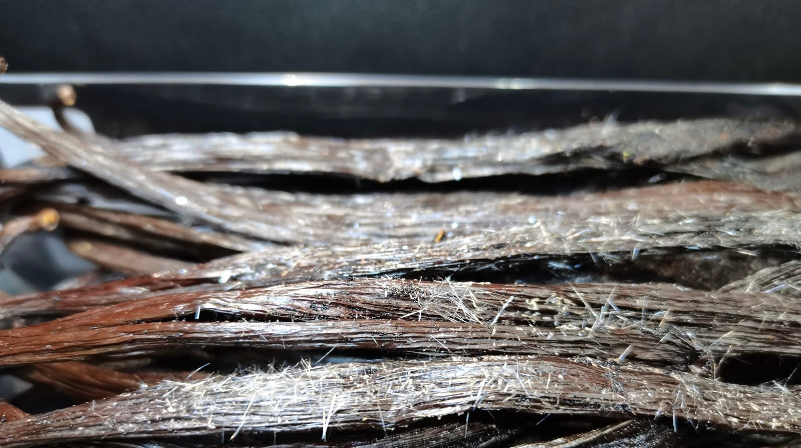 A close-up shot of Crystal Vanilla beans, showcasing their dark brown color and the delicate, frosty vanillin crystals forming on their surface.