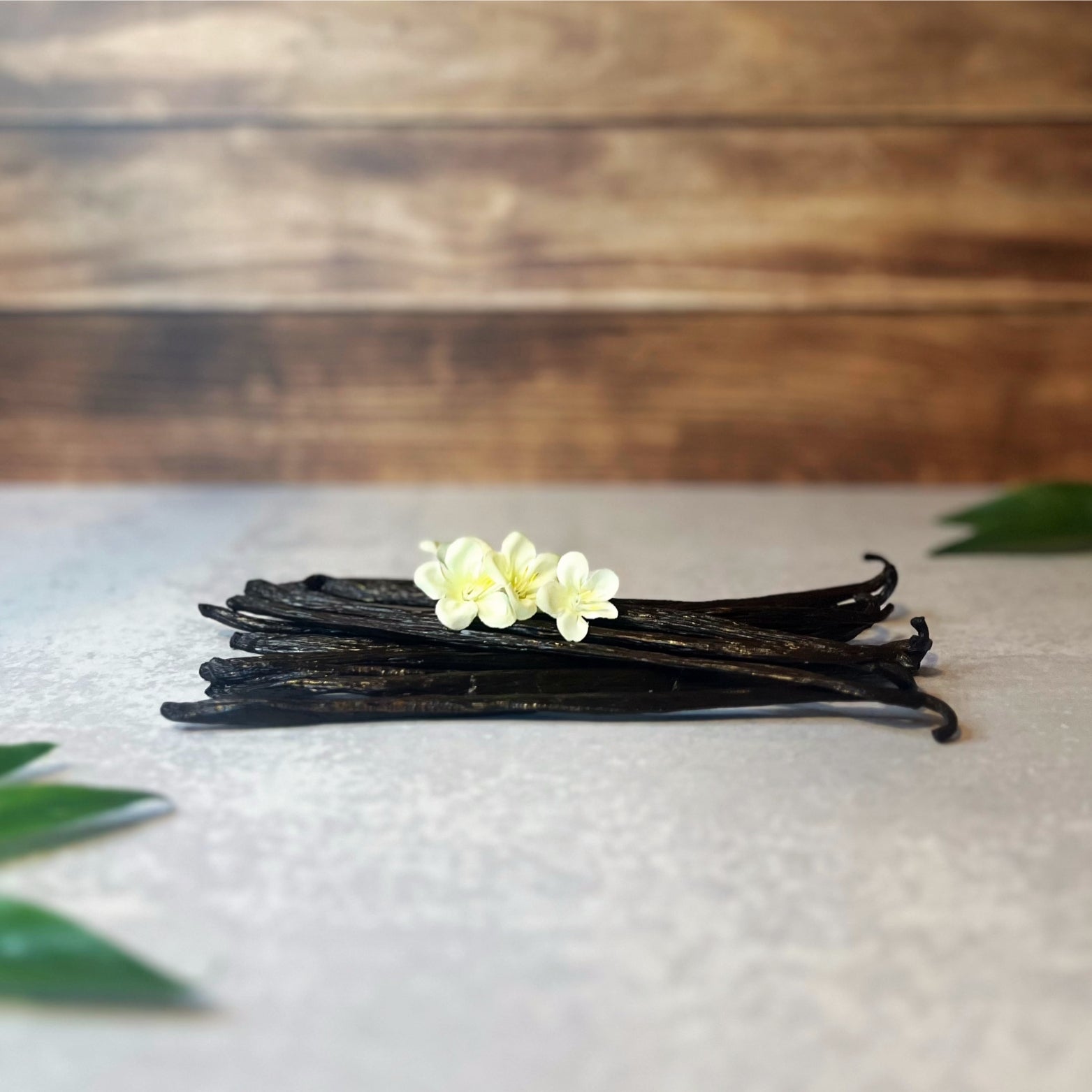 A bundle of dark brown vanilla beans lays on a gray surface with a few delicate white flowers resting on top. Green leaves peek in from the sides of the image.