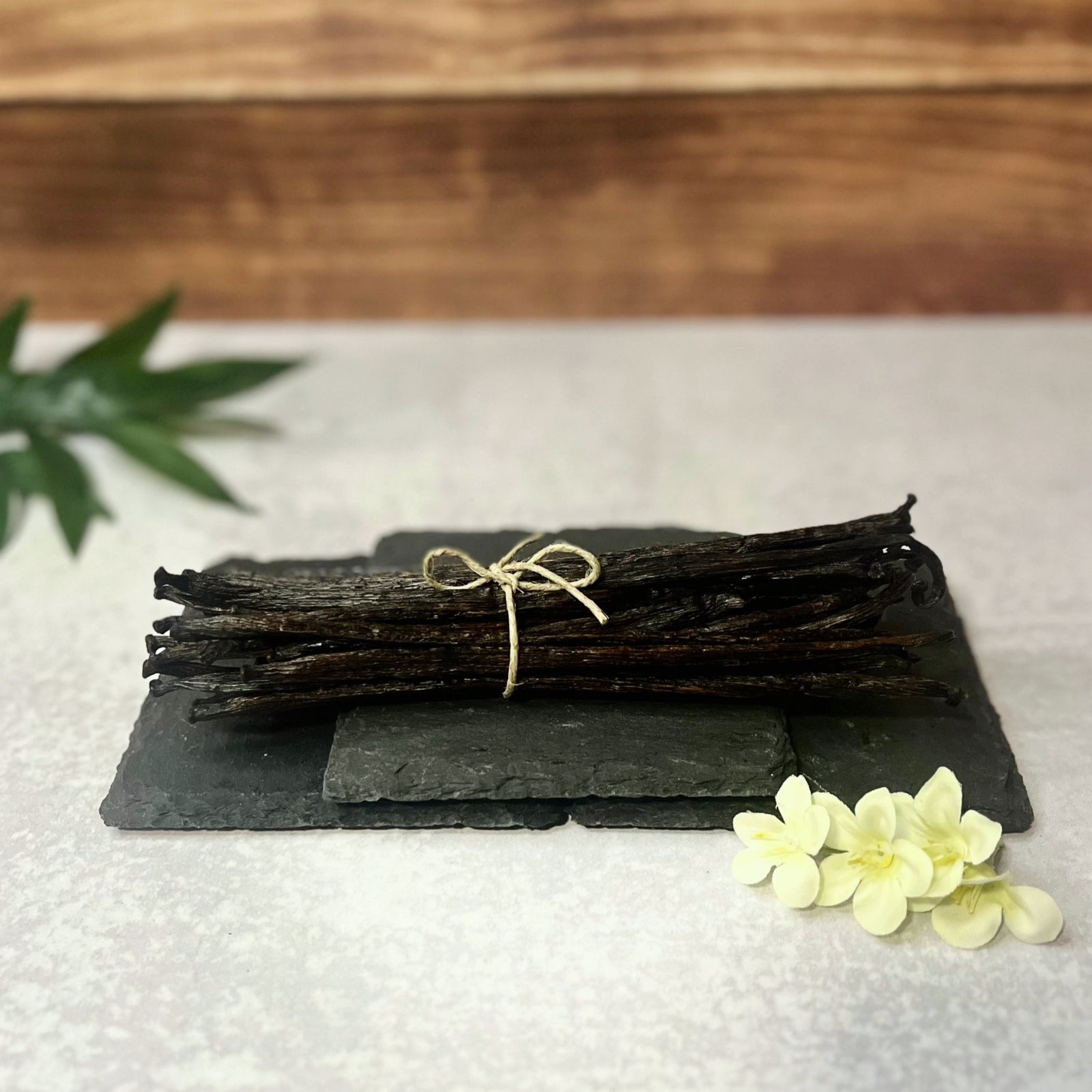 A bundle of Grade B vanilla beans tied with twine sits atop three stacked dark gray slate coasters. The vanilla beans are dark brown and have some splits and imperfections. A few delicate white flowers are arranged near the base of the coasters.