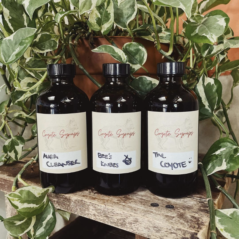 Three amber glass bottles with black labels, each labeled "Coyote Syrups" and featuring a different handwritten product name: "Aura Cleanser," "Bee's Knees," and "The Coyote." The bottles are arranged on a wooden shelf with a green vine plant behind them.