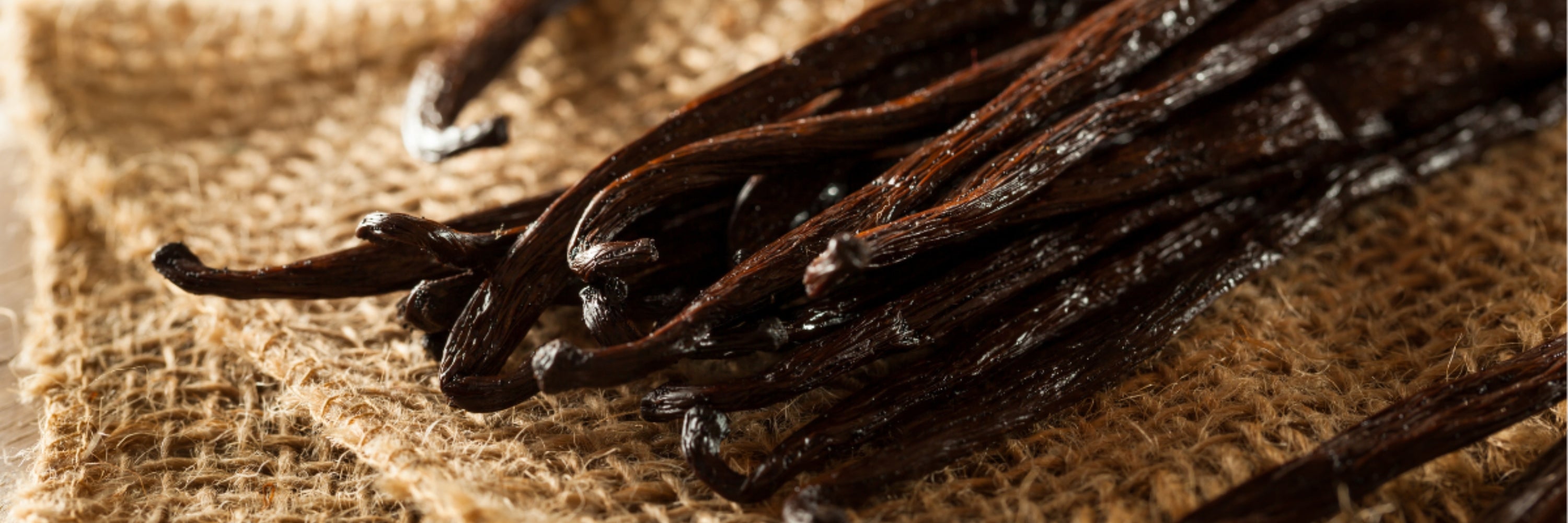 A close-up image of a bundle of dark brown vanilla beans, tied together and resting on a rustic burlap surface.