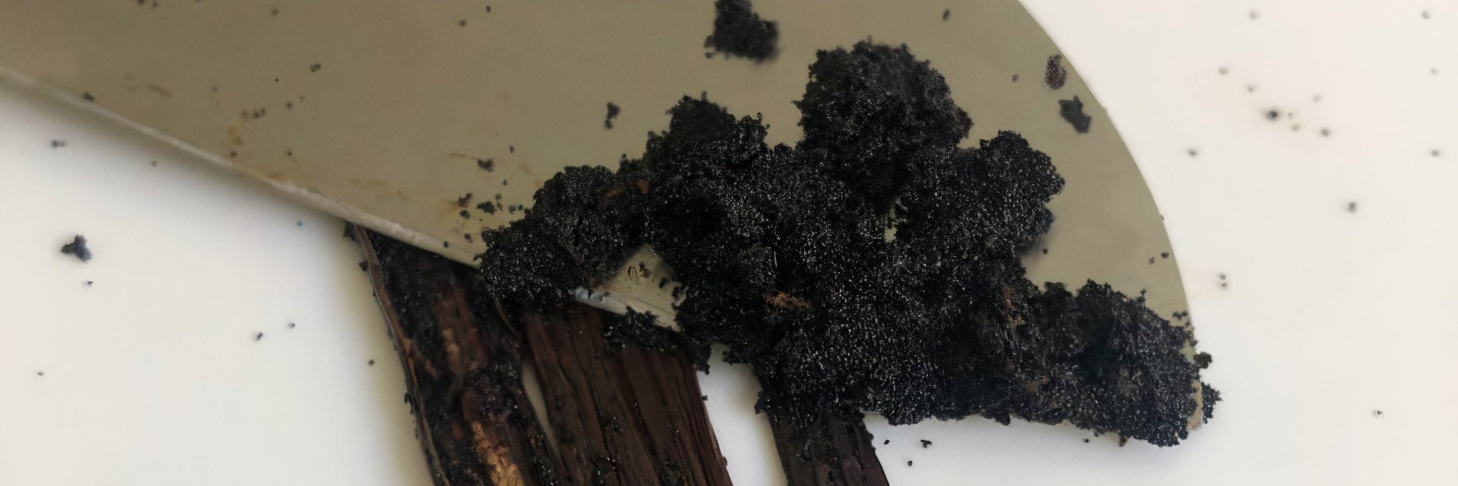 A close-up shot of a knife scraping the inside of a split vanilla bean, revealing the tiny black seeds.